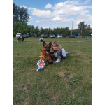 Немецкая овчарка, щенок