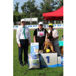 Немецкая овчарка, щенок