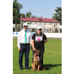 Немецкая овчарка, щенок