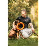 Метис лабрадора Валико ищет дом.