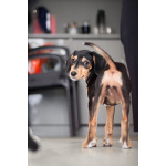 Зиппи ищет своего человека