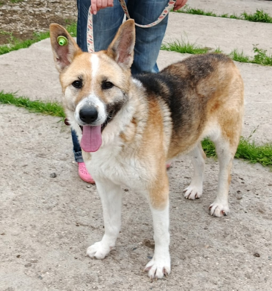 Супер позитивная девчонка Зира ищет своего ЧЕЛОВЕКА