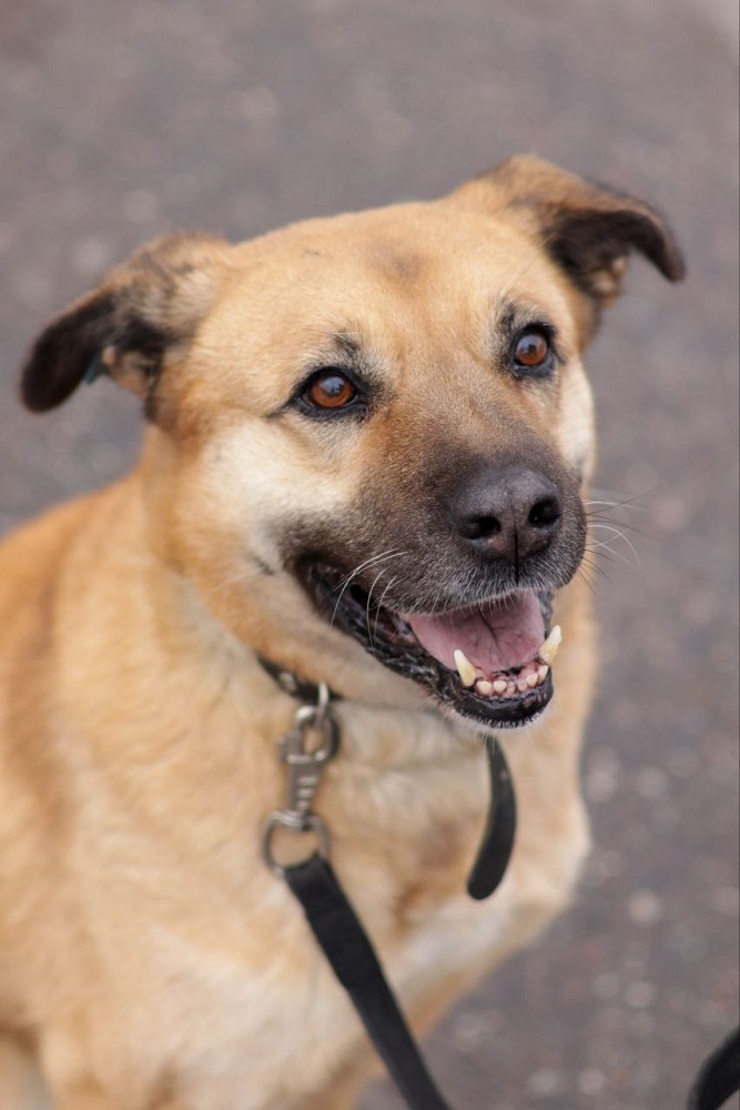 Хана: звезда, которая ждет своего часа!