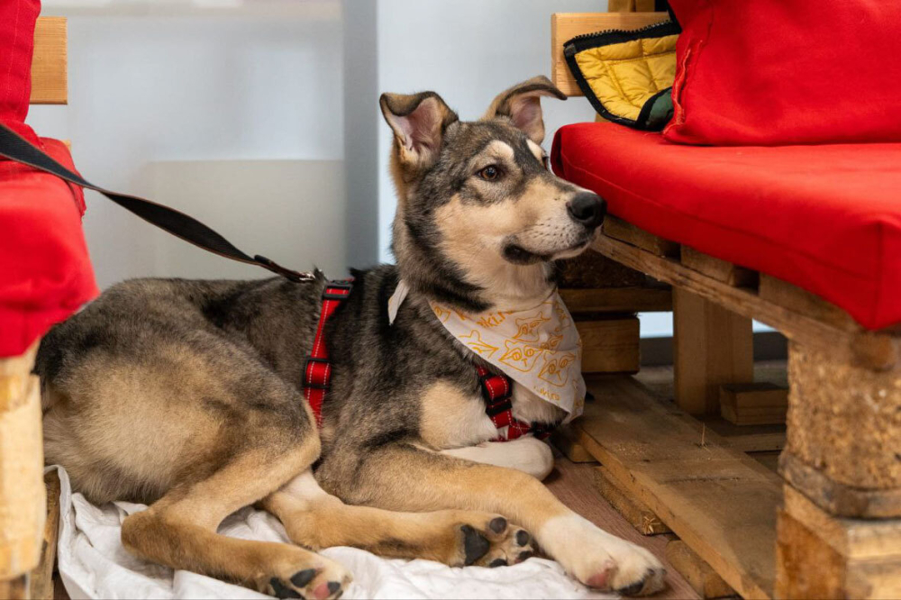 Алтай - в сердце навсегда!