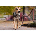 Харт ищет тех, кто станет его настоящей семьёй.