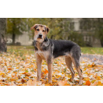 Харт ищет тех, кто станет его настоящей семьёй.