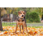 Харт ищет тех, кто станет его настоящей семьёй.