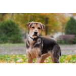 Харт ищет тех, кто станет его настоящей семьёй.