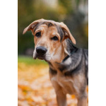 Харт ищет тех, кто станет его настоящей семьёй.