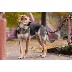 Харт ищет тех, кто станет его настоящей семьёй.