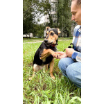 Молли ищет дом и человека, с которым будет делить каждое счастливое мгновение!