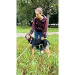 Молли ищет дом и человека, с которым будет делить каждое счастливое мгновение!