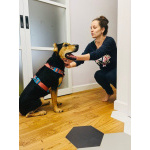 Молли ищет дом и человека, с которым будет делить каждое счастливое мгновение!