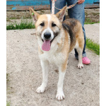 Супер позитивная девчонка Зира ищет своего ЧЕЛОВЕКА