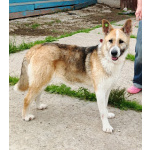 Супер позитивная девчонка Зира ищет своего ЧЕЛОВЕКА