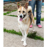 Супер позитивная девчонка Зира ищет своего ЧЕЛОВЕКА