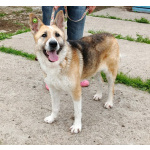 Супер позитивная девчонка Зира ищет своего ЧЕЛОВЕКА