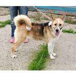 Супер позитивная девчонка Зира ищет своего ЧЕЛОВЕКА