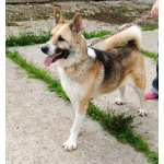 Супер позитивная девчонка Зира ищет своего ЧЕЛОВЕКА