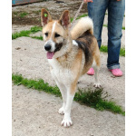 Супер позитивная девчонка Зира ищет своего ЧЕЛОВЕКА