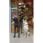 Лисенок ищет дом.