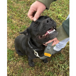 Ищем лучшую семью для лучшего мальчика!