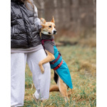 Лили ищет дом!