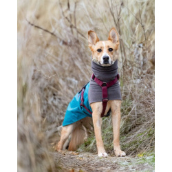 Лили ищет дом!