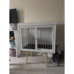 Обезьяна макака резус