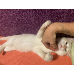 Помогите малышке найти свой дом❤️