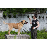 Хана: звезда, которая ждет своего часа!