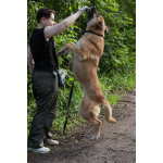 Хана: звезда, которая ждет своего часа!