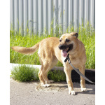 Хана: звезда, которая ждет своего часа!