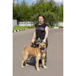 Хана: звезда, которая ждет своего часа!