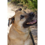 Хана: звезда, которая ждет своего часа!