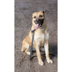 Хана: звезда, которая ждет своего часа!