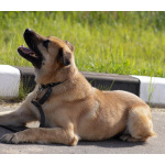 Хана: звезда, которая ждет своего часа!