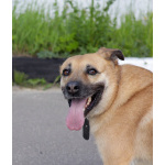 Хана: звезда, которая ждет своего часа!