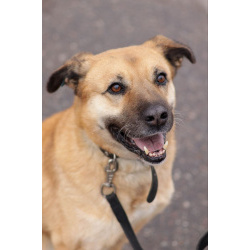 Хана: звезда, которая ждет своего часа!