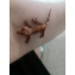 Пара бананоедов