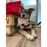 Алтай - в сердце навсегда!