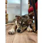 Алтай - в сердце навсегда!