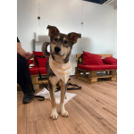 Алтай - в сердце навсегда!