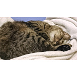 Малыш котопёс-компаньон Фёдор в добрые руки