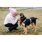 Молли ищет дом и человека, с которым будет делить каждое счастливое мгновение!