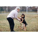 Молли ищет дом и человека, с которым будет делить каждое счастливое мгновение!