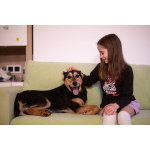 Молли ищет дом и человека, с которым будет делить каждое счастливое мгновение!