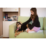 Молли ищет дом и человека, с которым будет делить каждое счастливое мгновение!