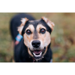 Молли ищет дом и человека, с которым будет делить каждое счастливое мгновение!