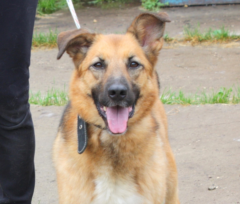 Позитивная Сэмми в поисках своей семьи!